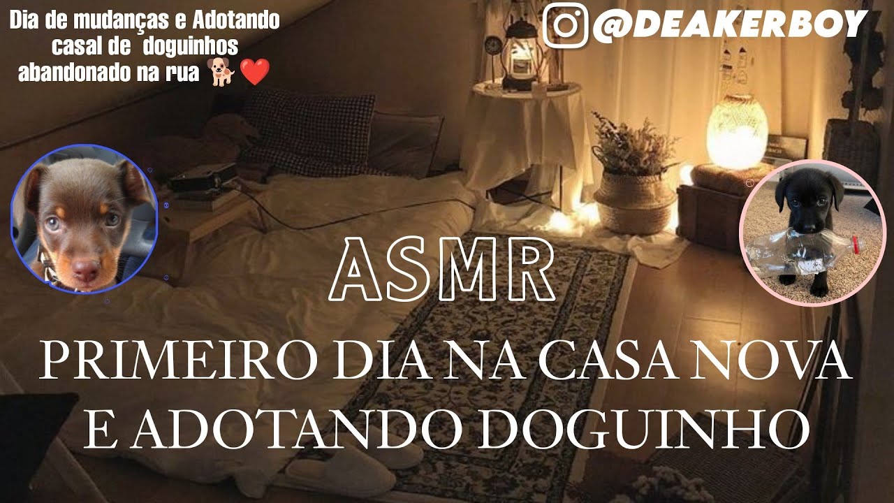 ASMR - Primeiro dia na nova casa  + Adotando um dog 🐕