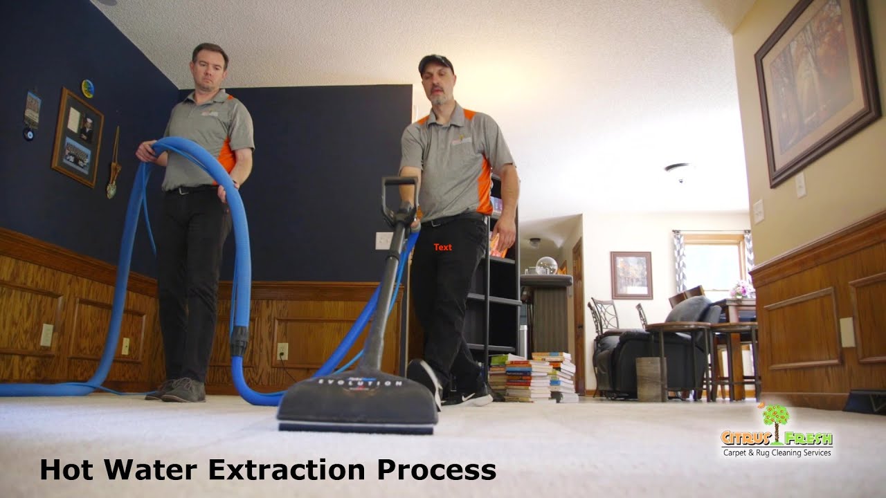 Hot Water Extraction (HWE) Process