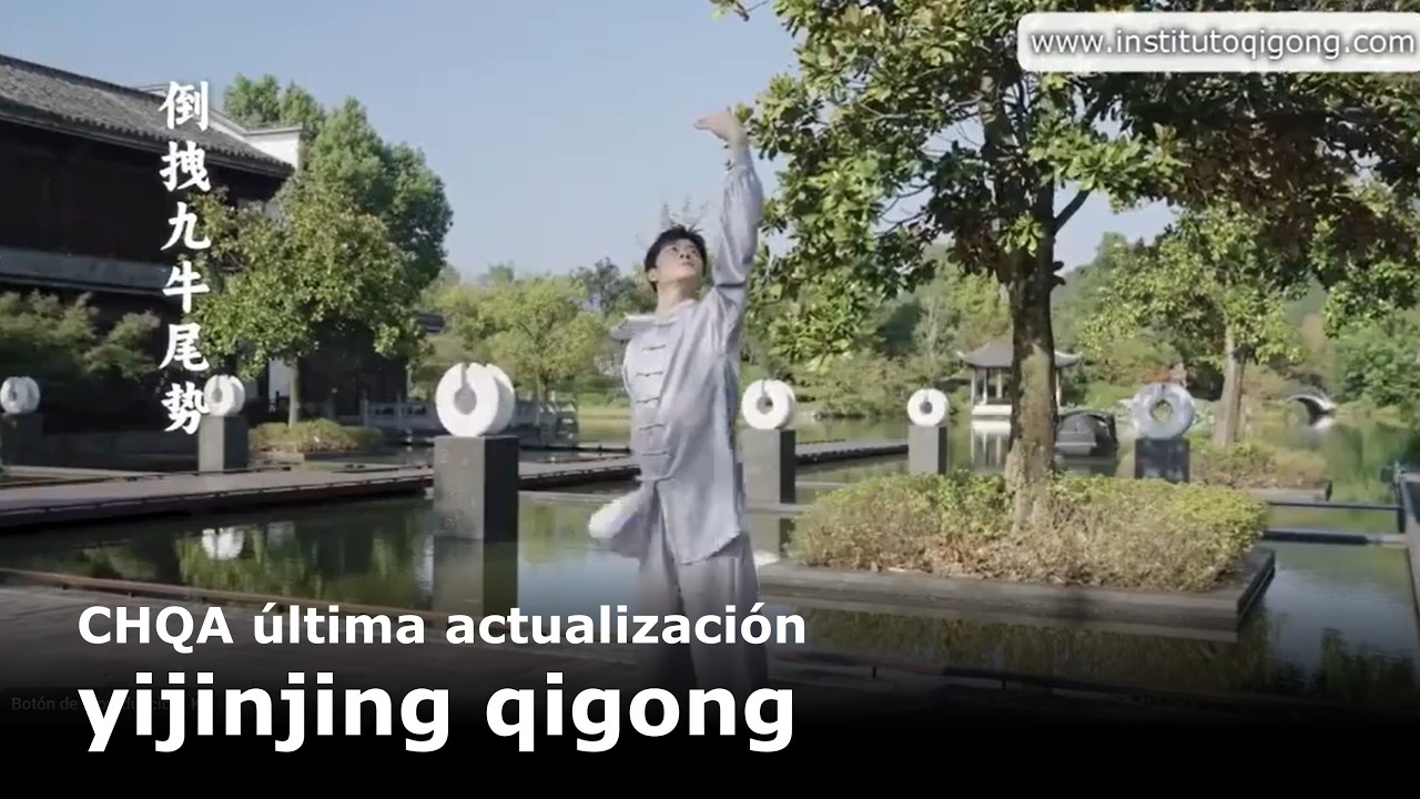 IQB qigong yijinjing ultima versión 2025