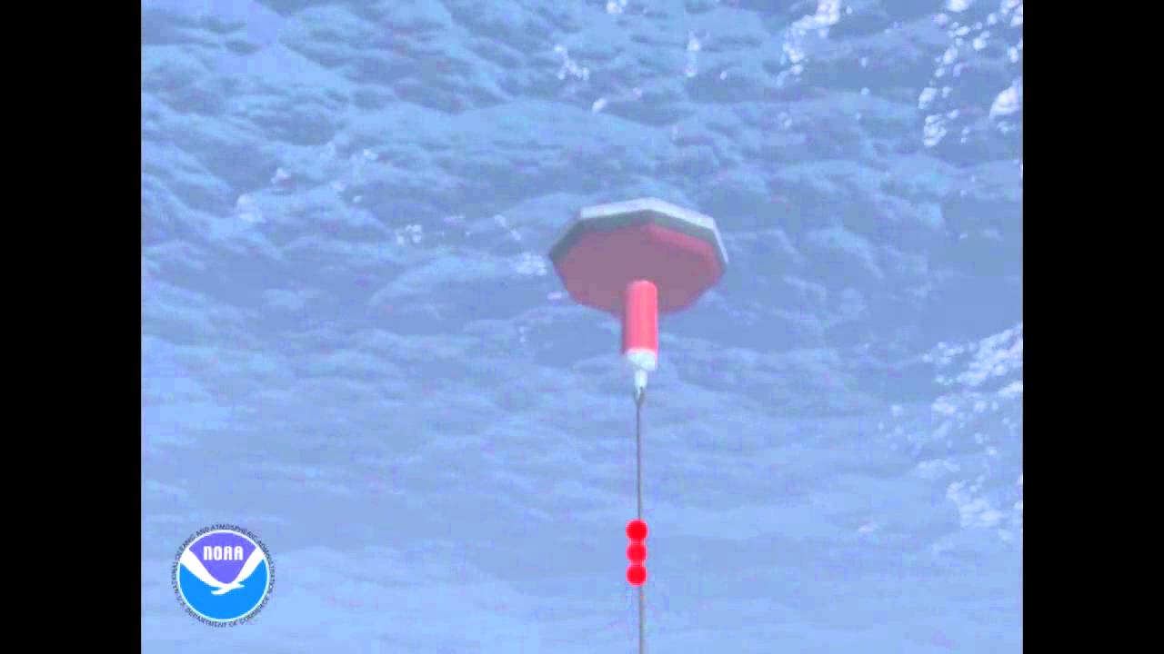 Flexible, low cost ocean observations with the PICO buoy