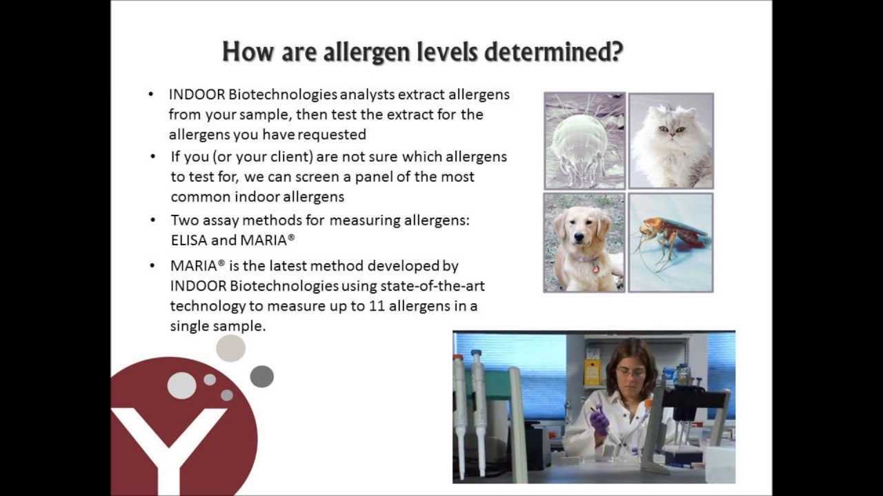 How to Test Your Home or Office for Allergens - INDOOR Biotechnologies' Allergen Analysis Service
