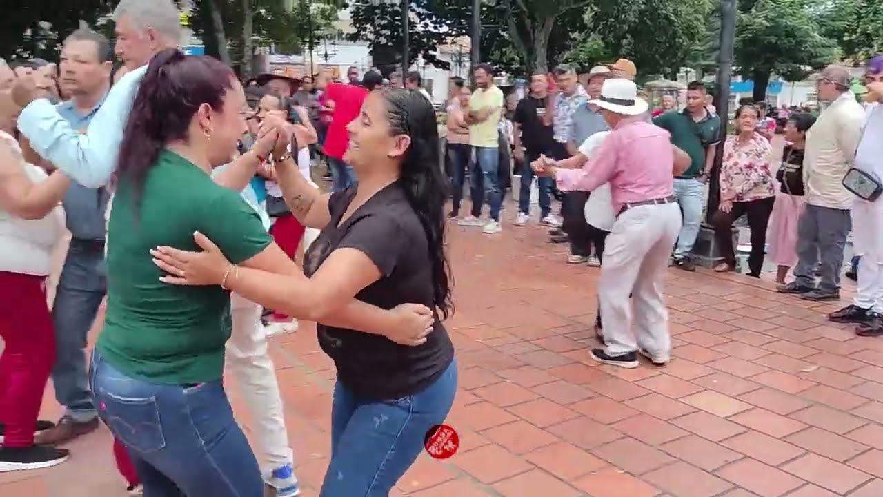 Baila con Fusión 4 La Camionera 🚛🎶 ¡La carranga que pone a moverse a todos!
