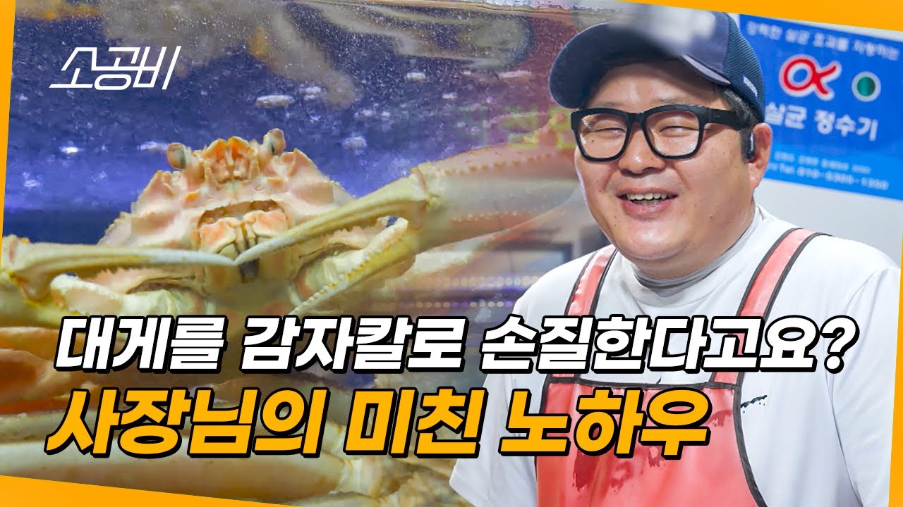 【휴먼다큐 시장사람들】살이 꽉 찬 대게  | 사장님만의 손질 비법 | 소상공인시장tv
