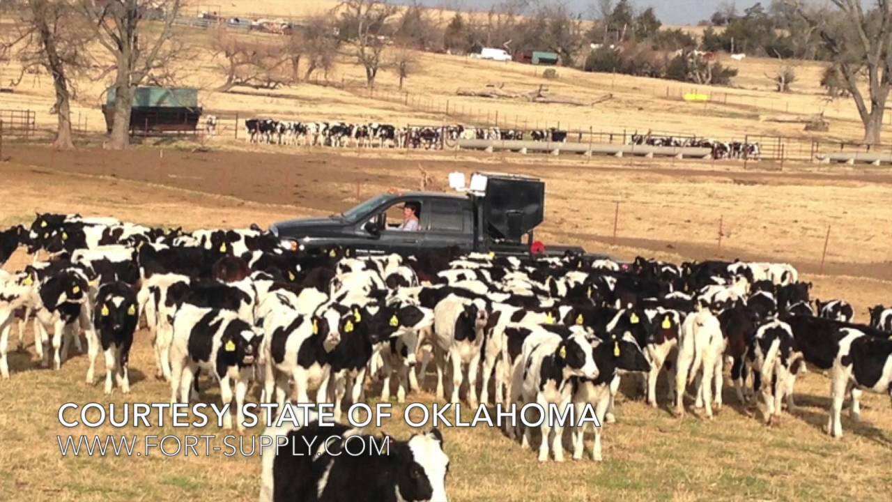 Fort Supply UHF Livestock Pilot Project Presentation at NIAA 2016