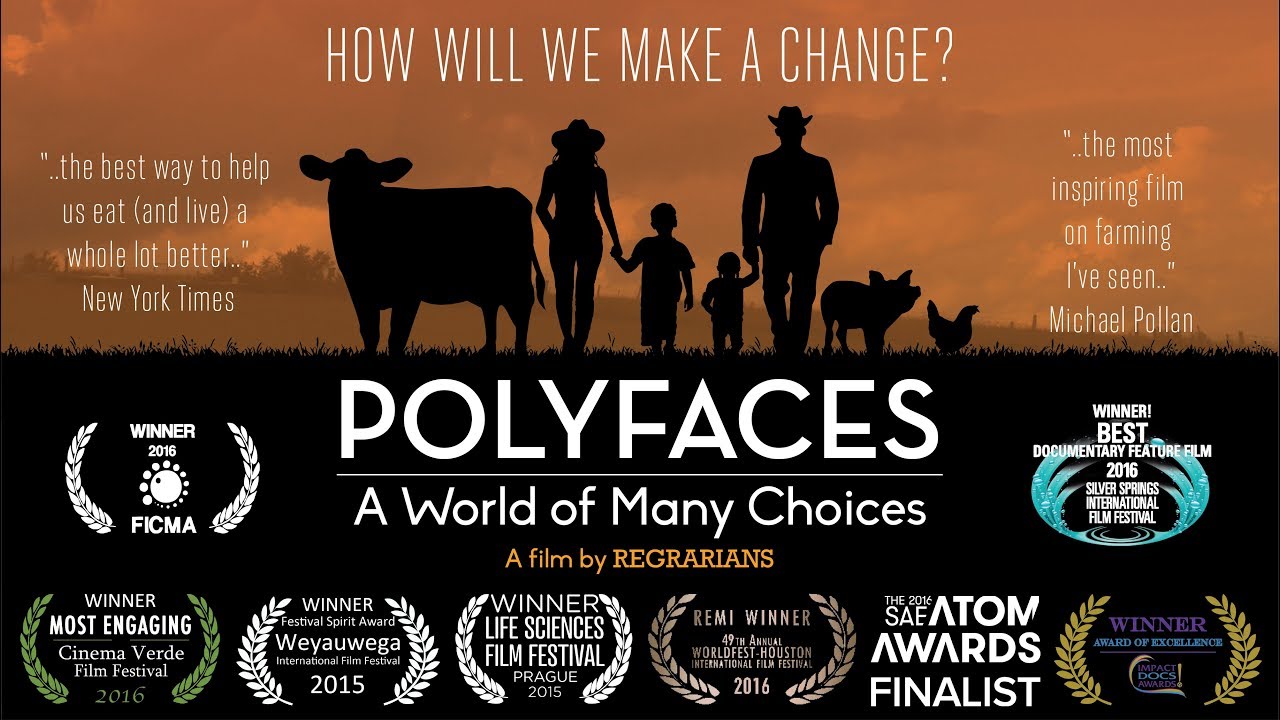 Polyfaces - A World of Many Choices