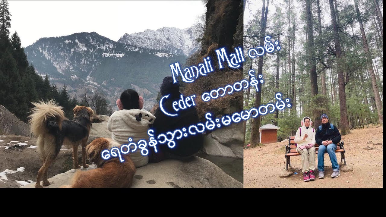 Manali Mall လမ်း Ceder တောတန်း ရေတံခွန်သွားလမ်း မမောတမ်း