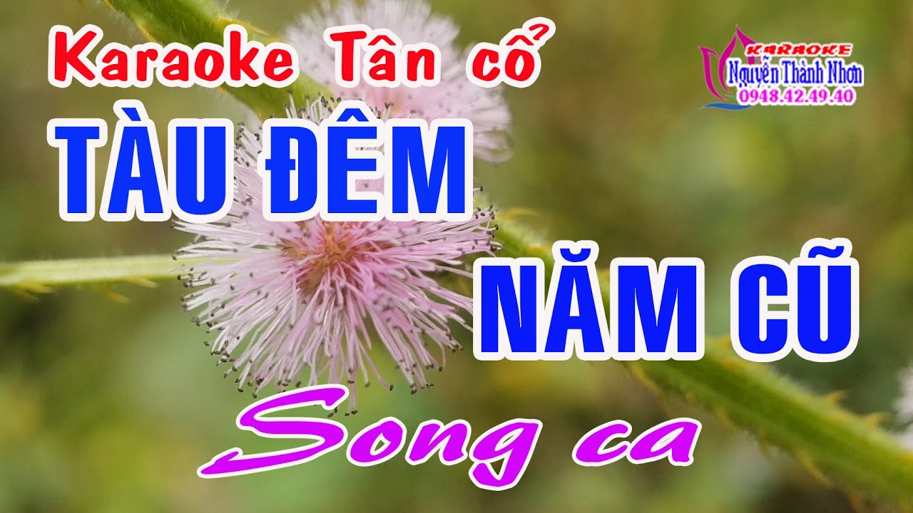 Karaoke tân cổ TÀU ĐÊM NĂM CŨ - SONG CA [Minh Cảnh - Phượng Liên]