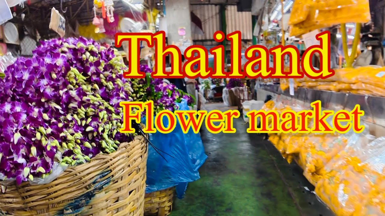 Thailand Flower market ปากคลองตลาด 🇹🇭