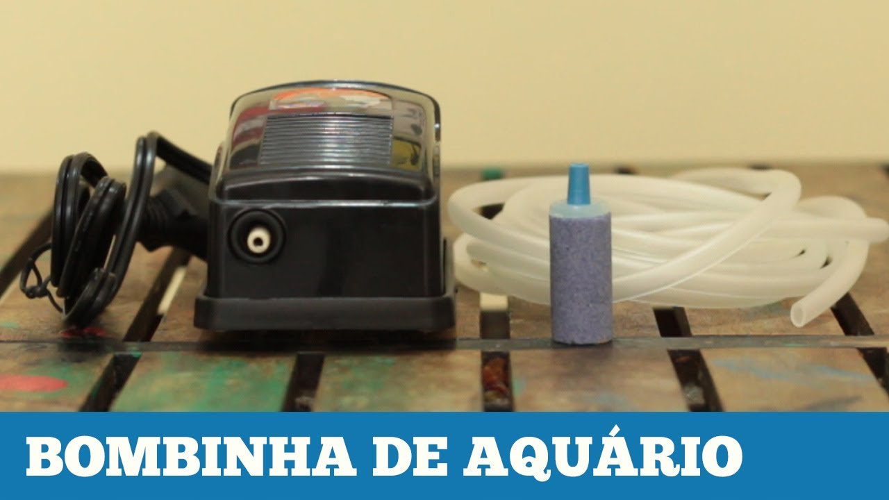 Guia Pr&aacute;tico: Aera&ccedil;&atilde;o com bombinha de Aqu&aacute;rio