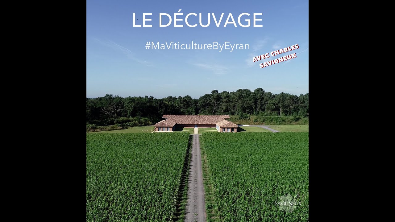 Le décuvage - 23.10.20