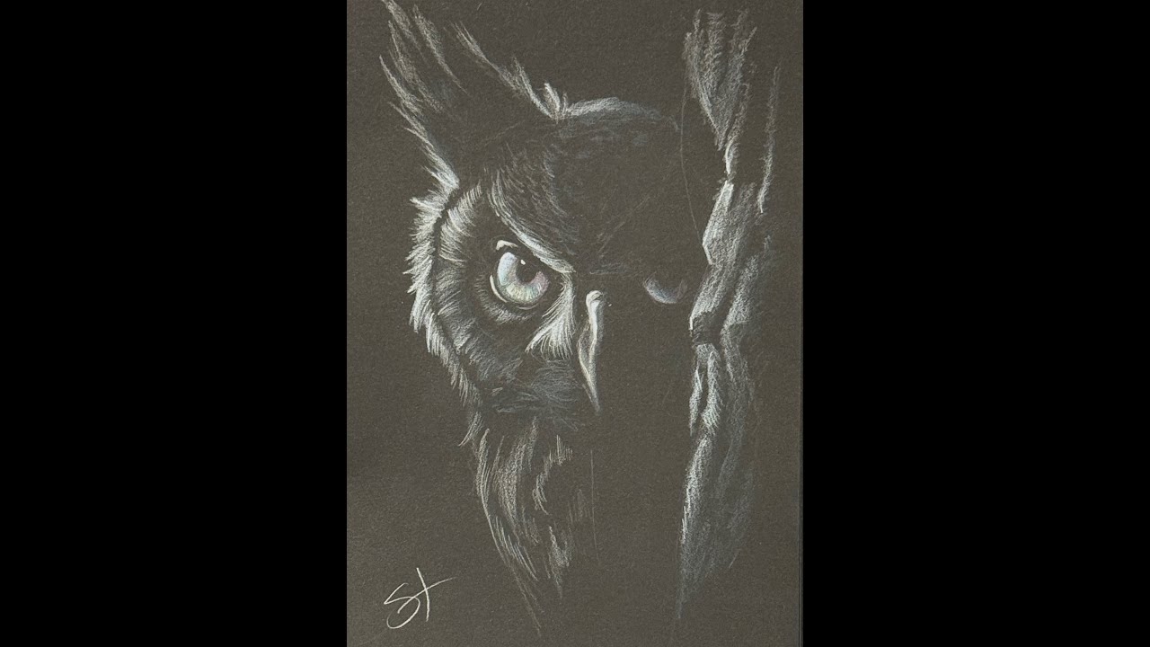 Drawing an Owl Behind a Tree