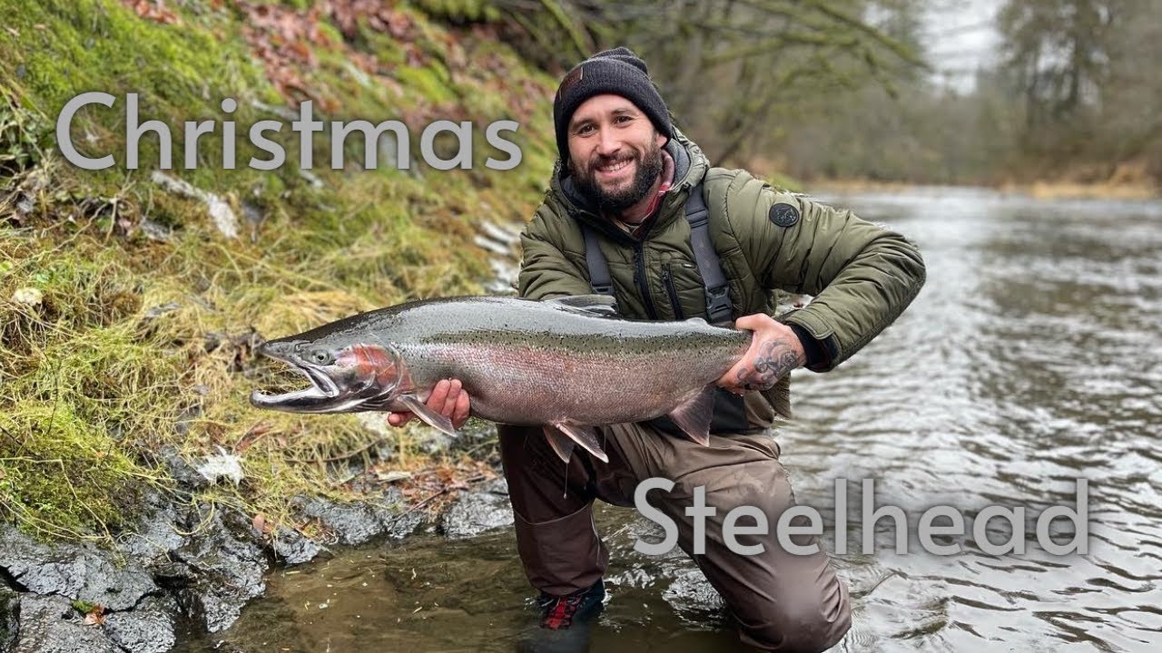 GIANT Winter Steelhead in DECEMBER