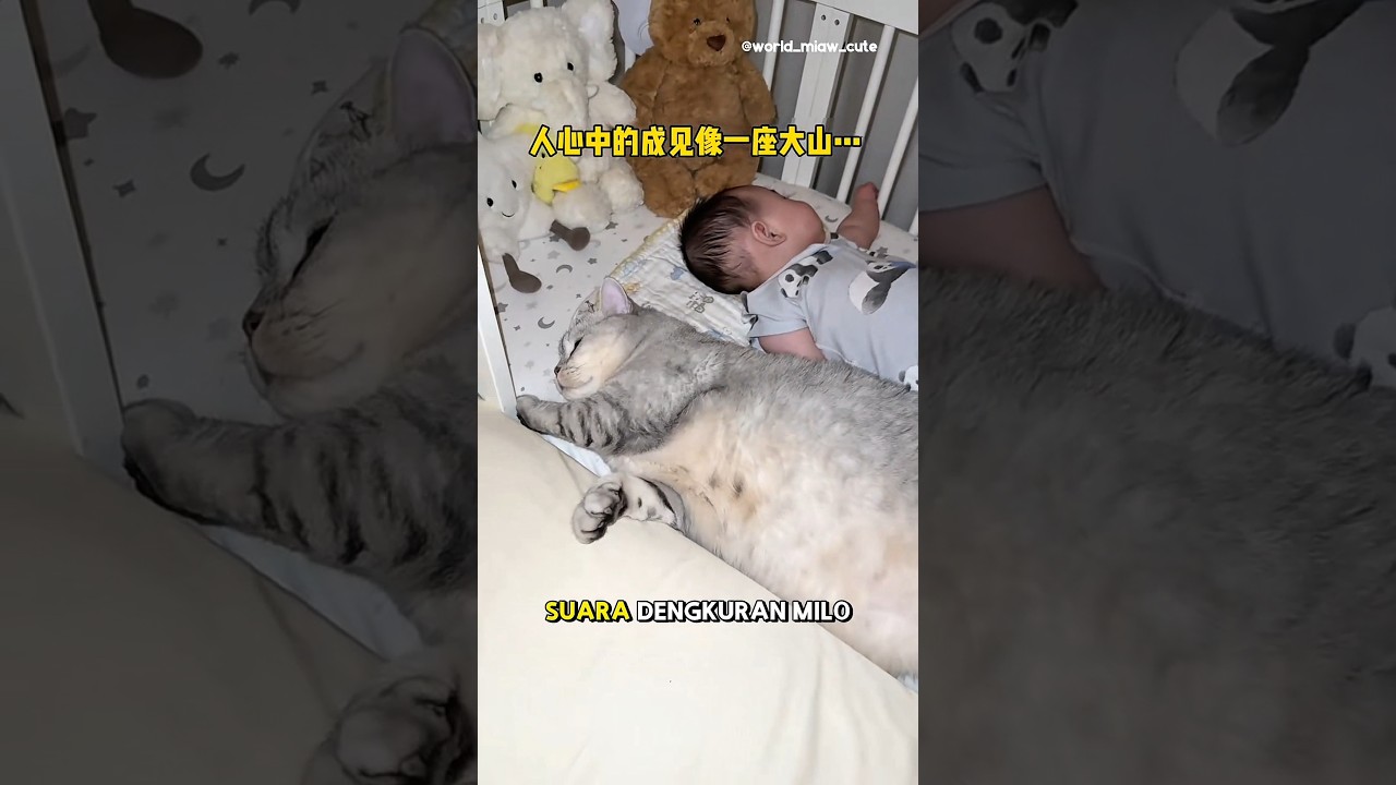 Saat tidur Milo berisik banget🤭😂 
