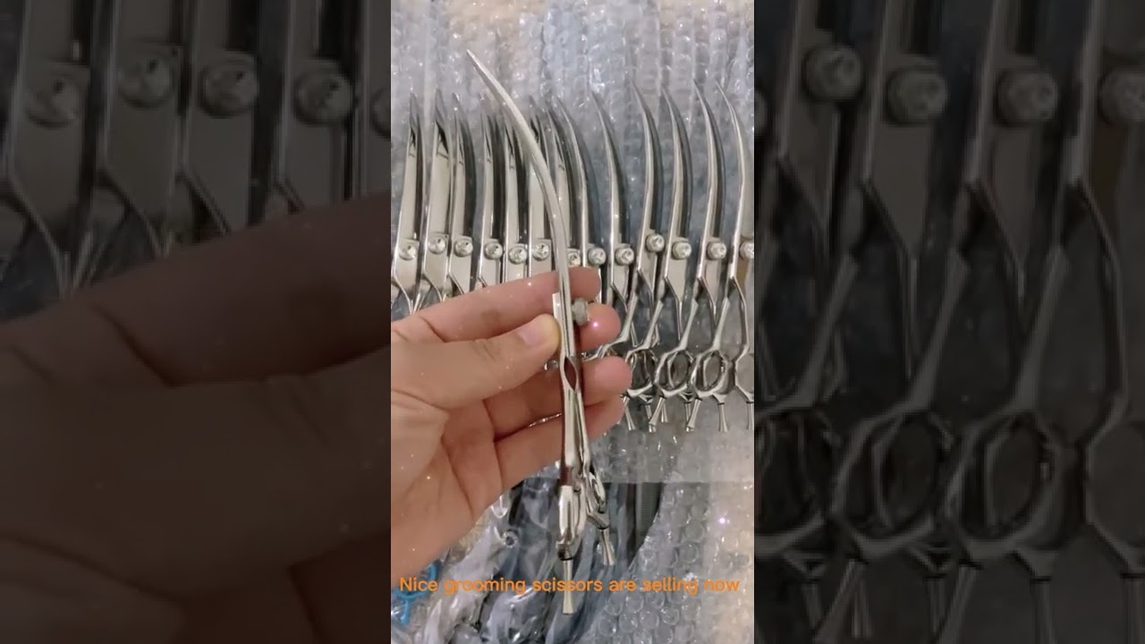Nice grooming scissors curved scissors