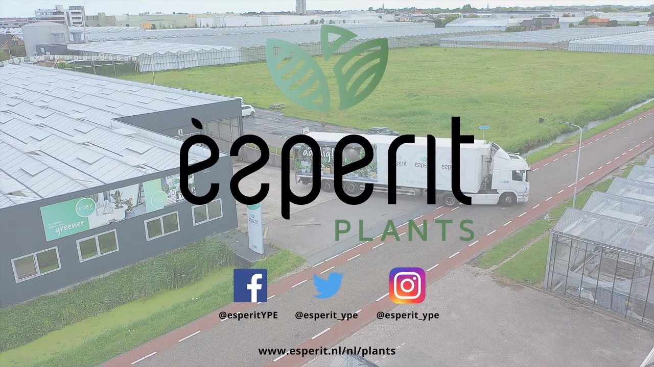 Esperit Plants - Corporate Movie