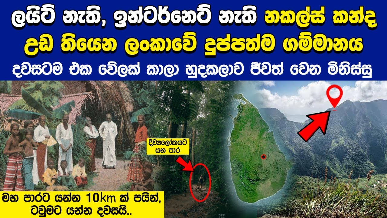 නකල්ස් කදු මුදුනේ ඇති ලංකාවේ ලස්සනම ගම්මානයේ ජීවත්වෙන දුප්පත්ම මිනිස්සු | Galamuduna Village
