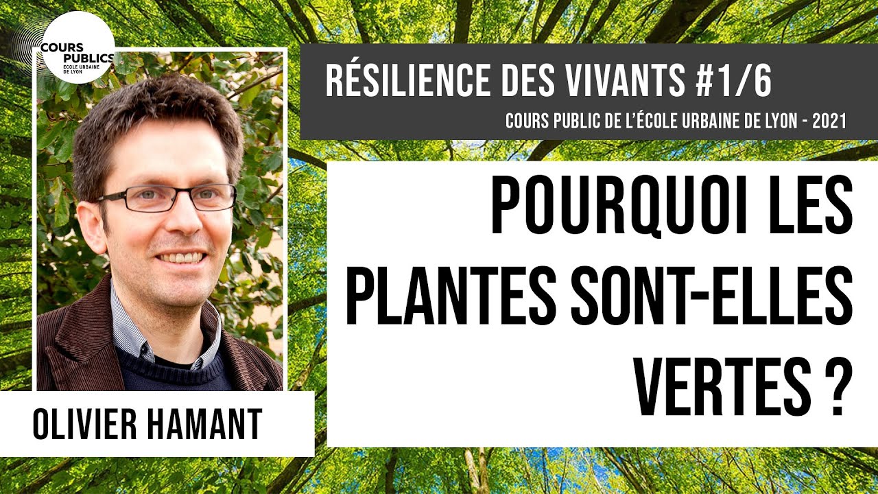 Pourquoi les plantes sont-elles vertes ? / Olivier Hamant - Résilience des vivants #1/6
