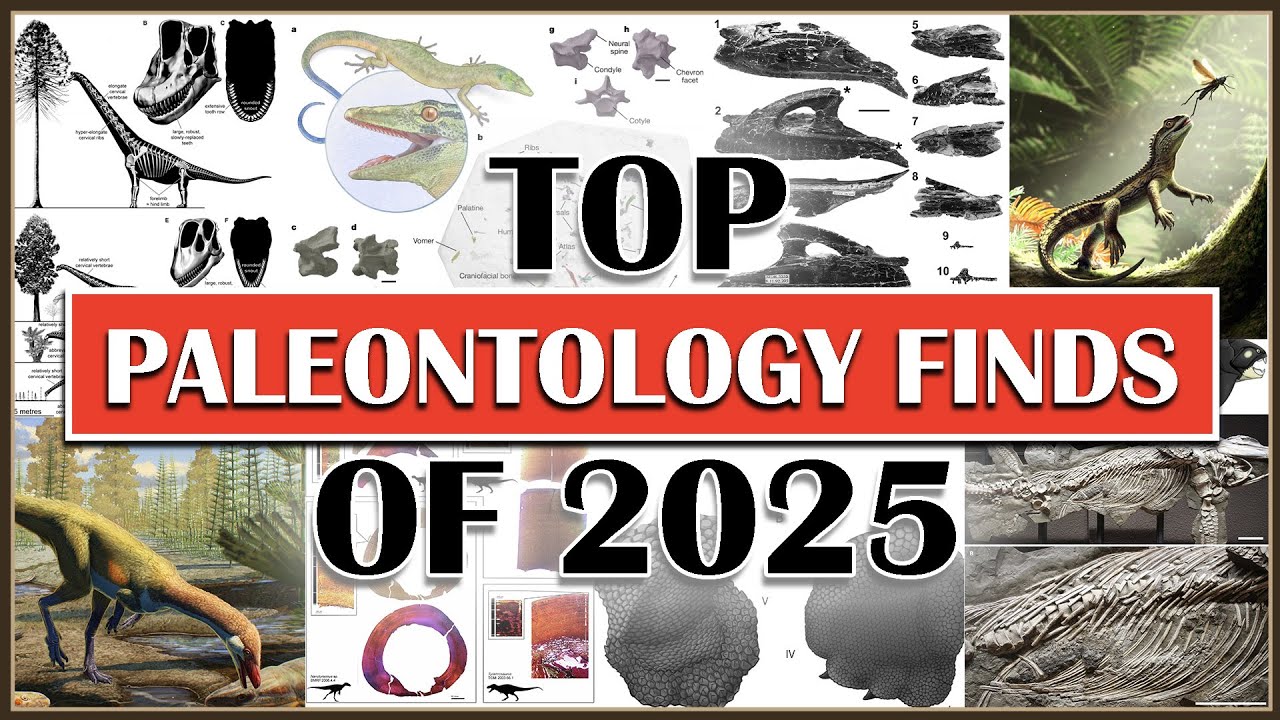 Top Paleontology Discoveries of 2025