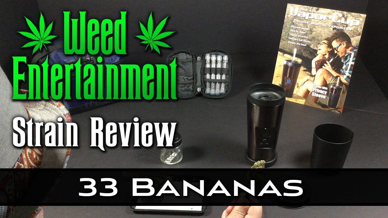 33 Bananas - Indica Hybrid - by Kings Garden - Strain Review - from Dr Greenthumbs, Sylmar Ca