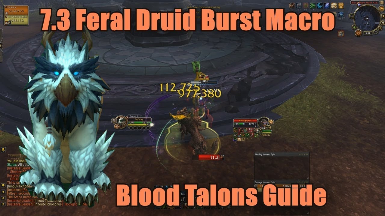 [7.3] Feral druid Burst Macro (BloodTalons One Shot Burst Macro)