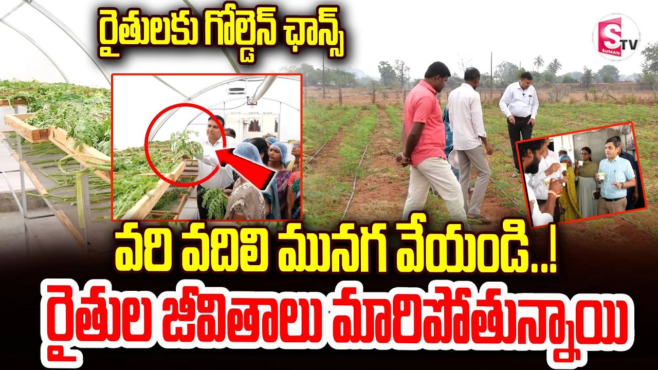 మునగ సాగుతో కోటీశ్వరుడు కావచ్చు..? | రైతులకు గోల్డెన్ ఛాన్స్  | Telangana Farmers Success Story