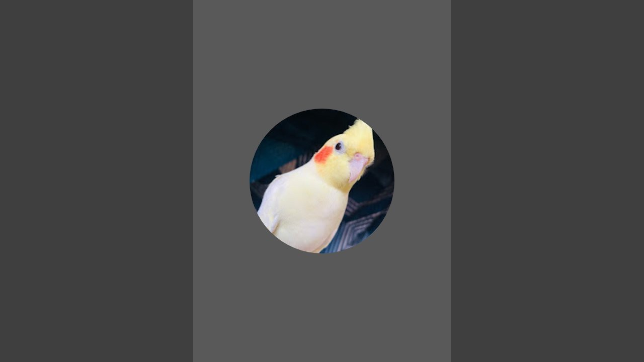 lovey_dovey is live!