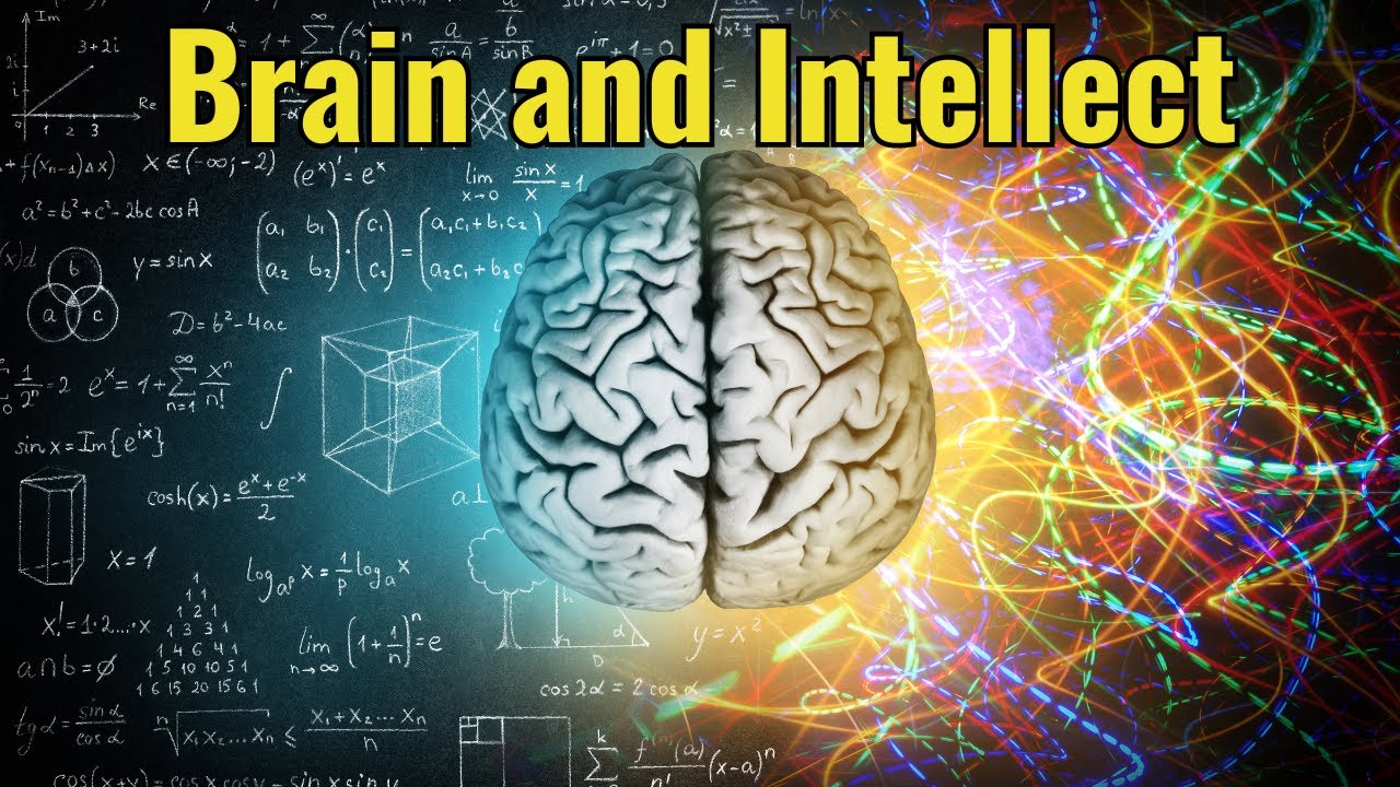 How the Brain Reflects Allah's Wisdom | Islamic and Scientific Insight