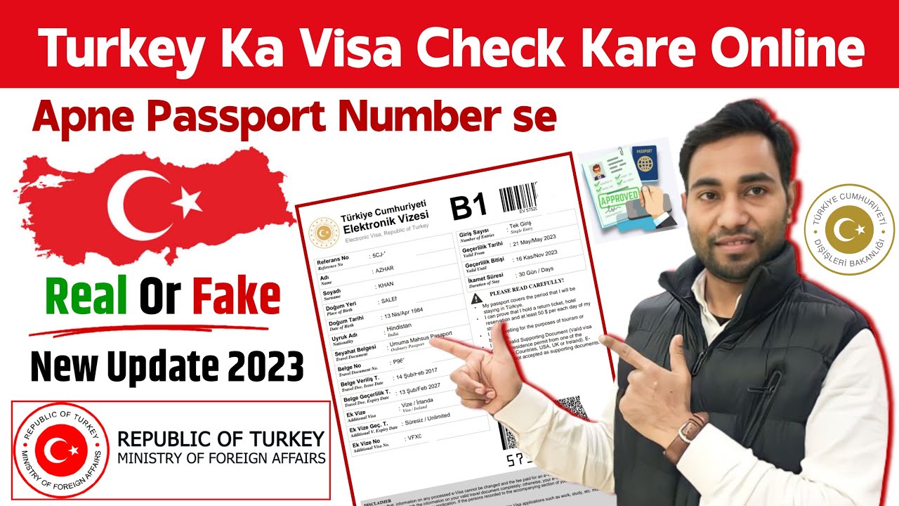 Turkey ka visa kaise check karen | How to check turkey visa status online | Turkey visa check online