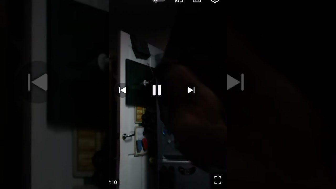Bionic Steve gets raided by police and gets his xl bully taken 