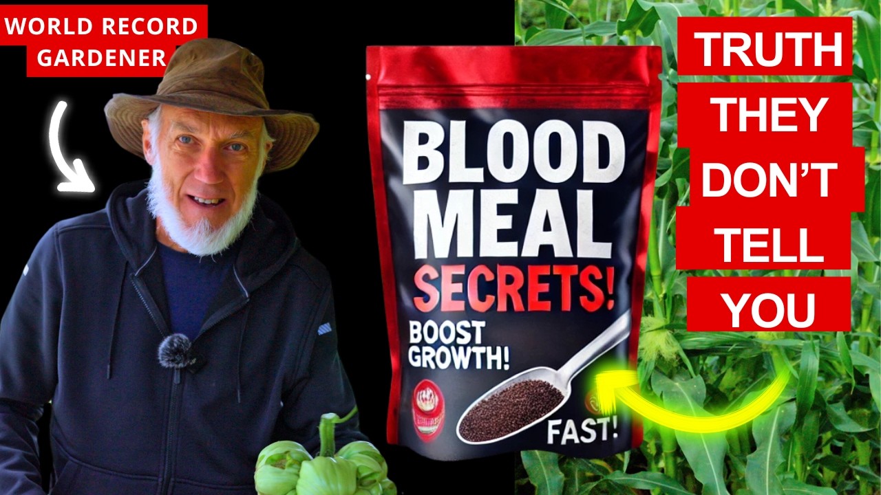 Blood Meal Demystified: The Secret to Explosive Plant Growth! 🌱💥 (How & When to Use It)
