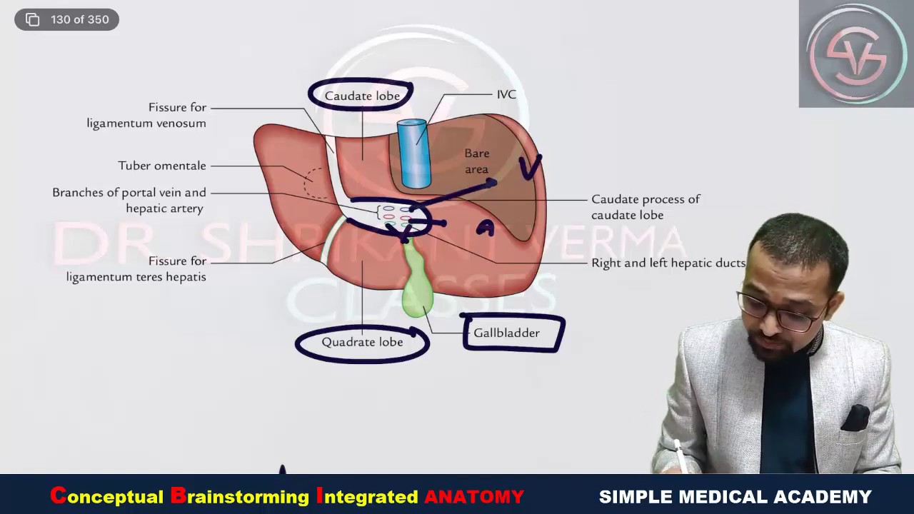 Porta hepatis