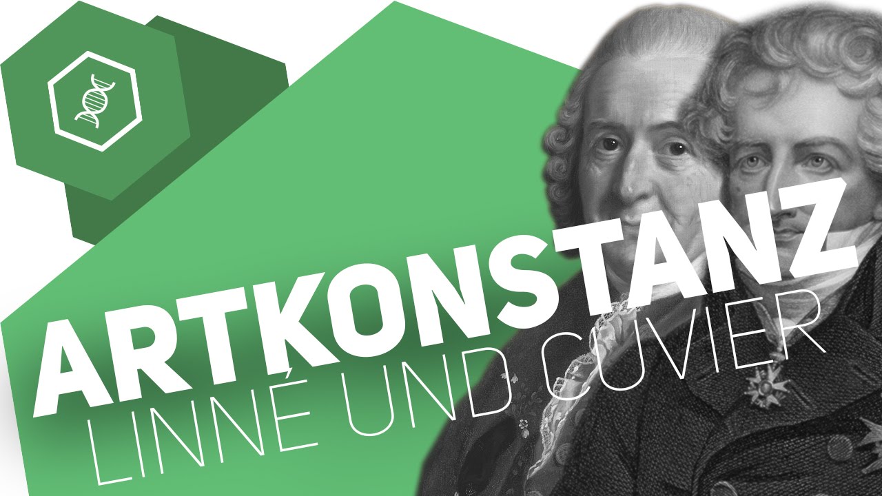 Theorie der Artkonstanz – Linné und Cuvier – Evolution
