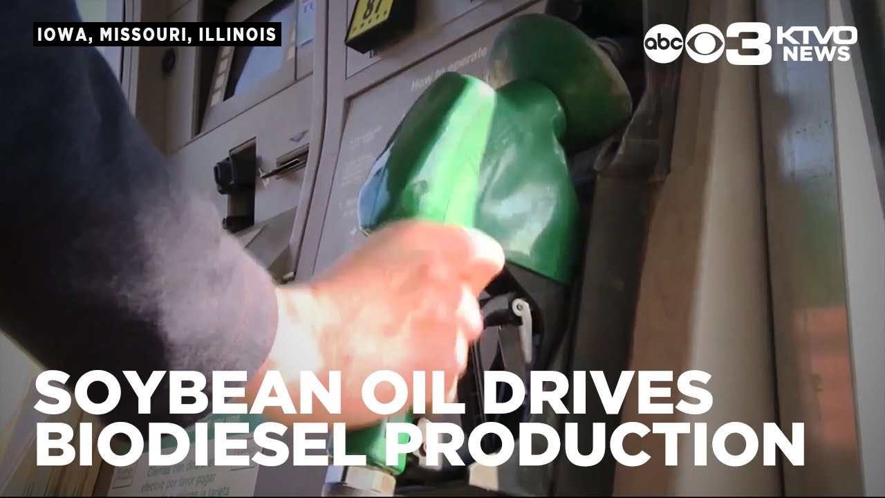 Soybean oil drives drive the production of biodiesel and demand for soybeans