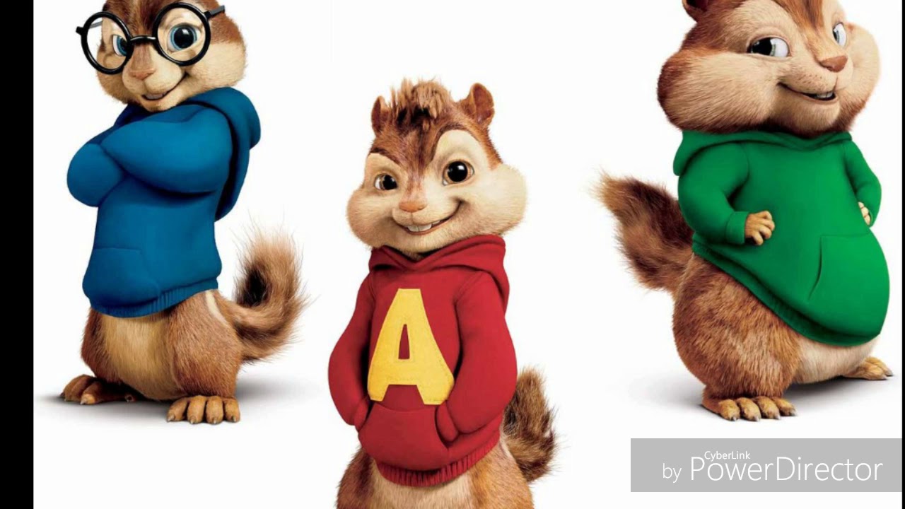 Zouhair bahouie hasta luego tiwtiw chipmunk