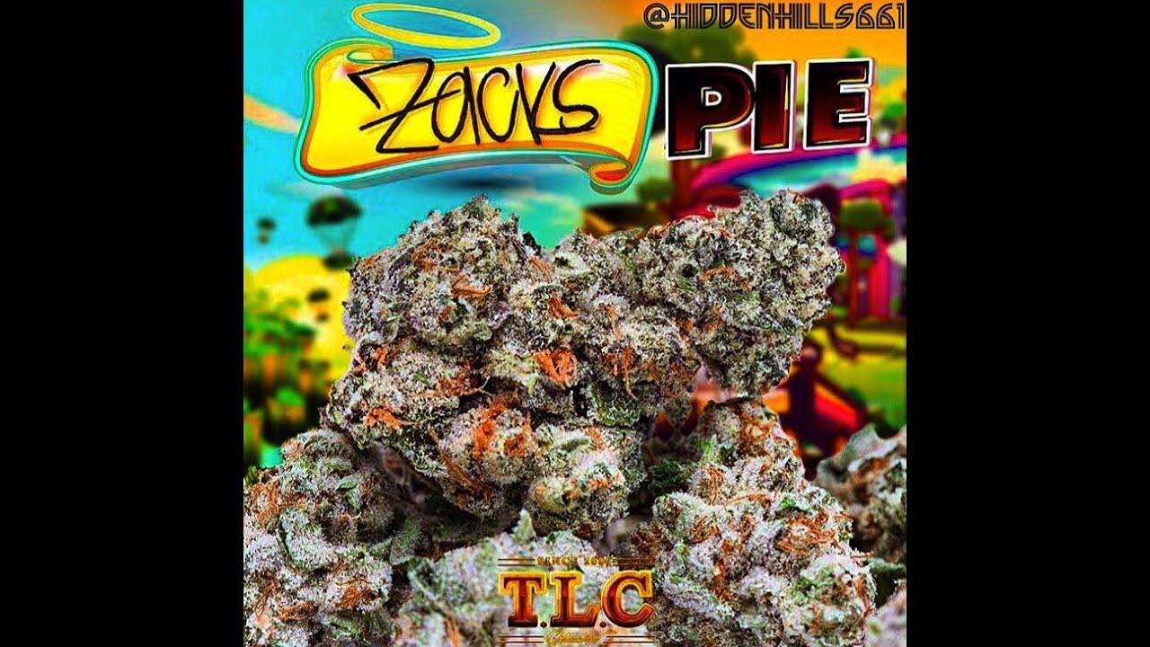Jungle Boys Zacks Pie 💫 strain review (31%THC)