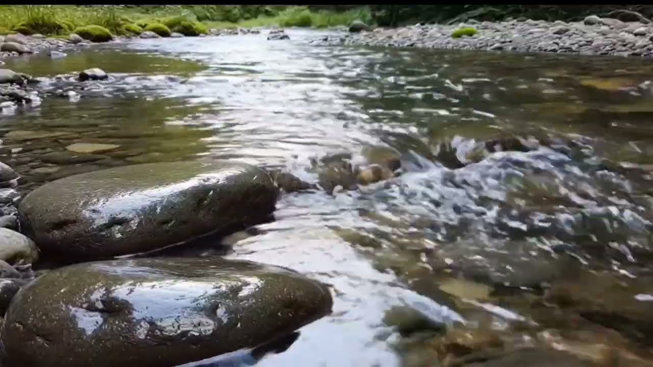 Calming River Nature Sounds | Gentle Flowing Water Ambience for Sleep, Focus & Relaxation