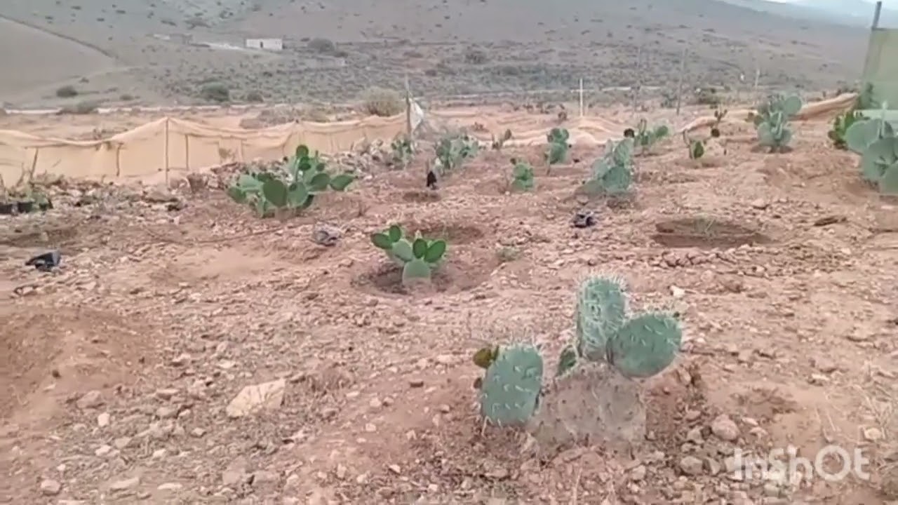20 غشت 2024
