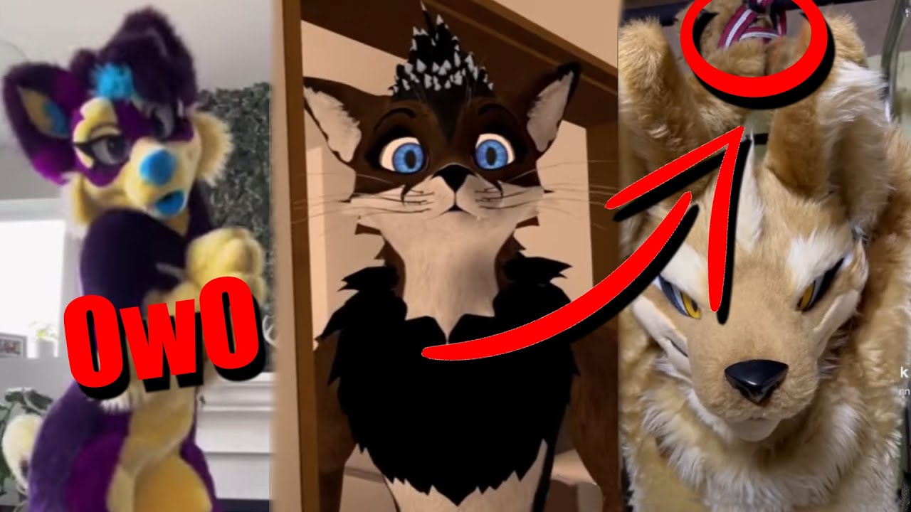 Furry Tiktok's that'll leave you howling for more
