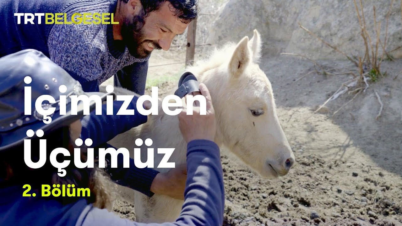 İçimizden Üçümüz | Bahar | TRT Belgesel