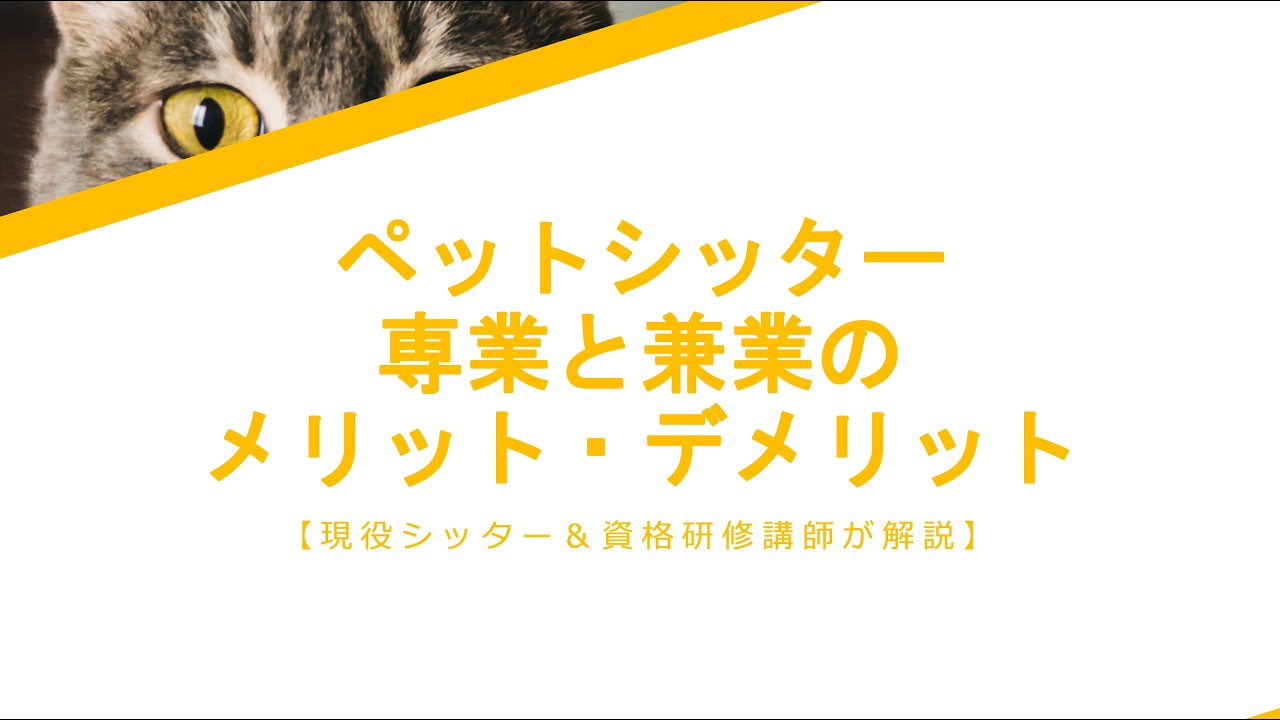 ペットシッター専業と兼業のメリット・デメリット