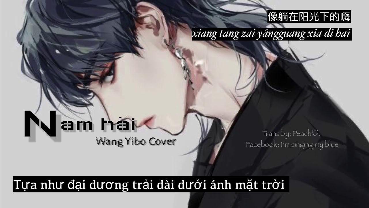 | Vietsub + Pinyin |《 男孩 》Nam Hài - Vương Nhất Bác Cover ( 王一博 ) | Nhạc Tiktok | Nhạc Hoa tâm trạng