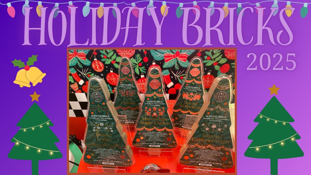 2025 Holiday Bricks - Details and Reviews