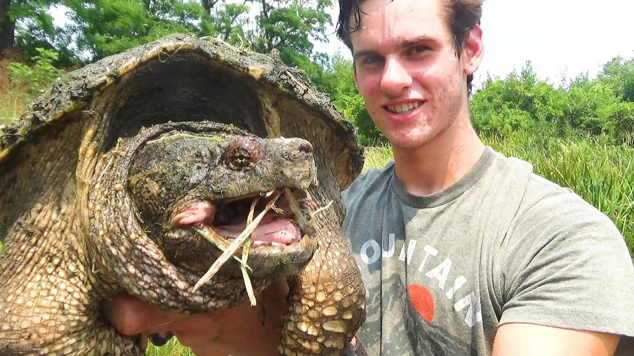 Jugging for Snapping Turtles!
