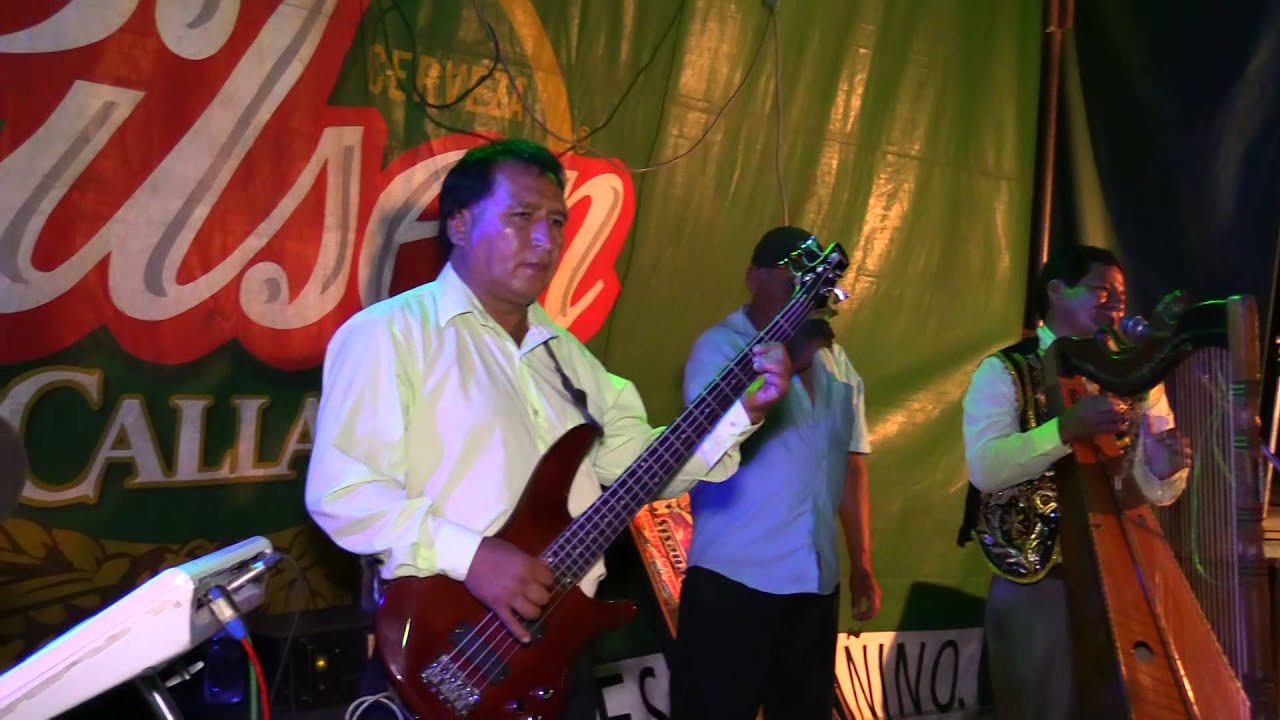 GORRION TAURIPANPINA EN CHILCA 2016