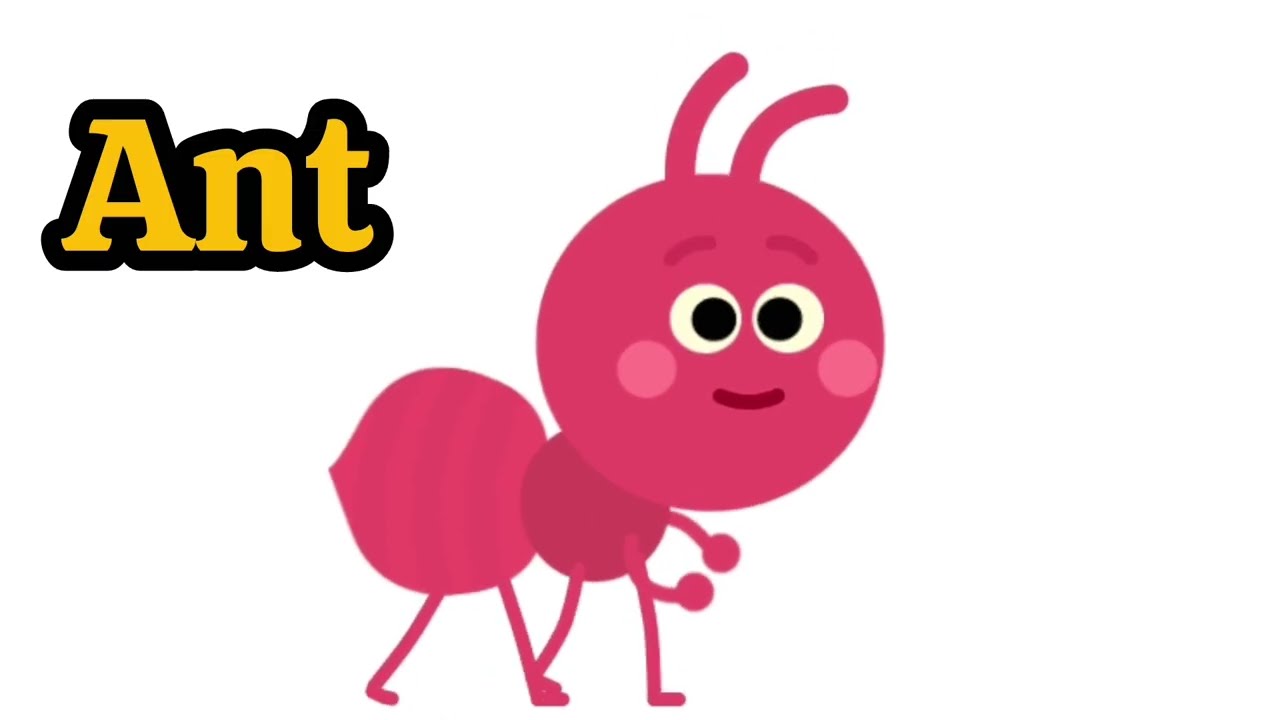 Kids Learning Revision | Fun Learning for Kids | English Learning Video