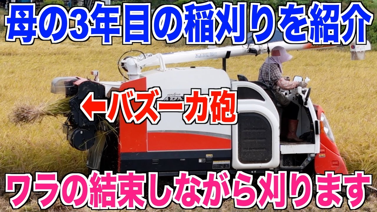 【母親の稲刈り】2024はワラの結束しながら刈りました 独り立ち 30代米作り奮闘記#424