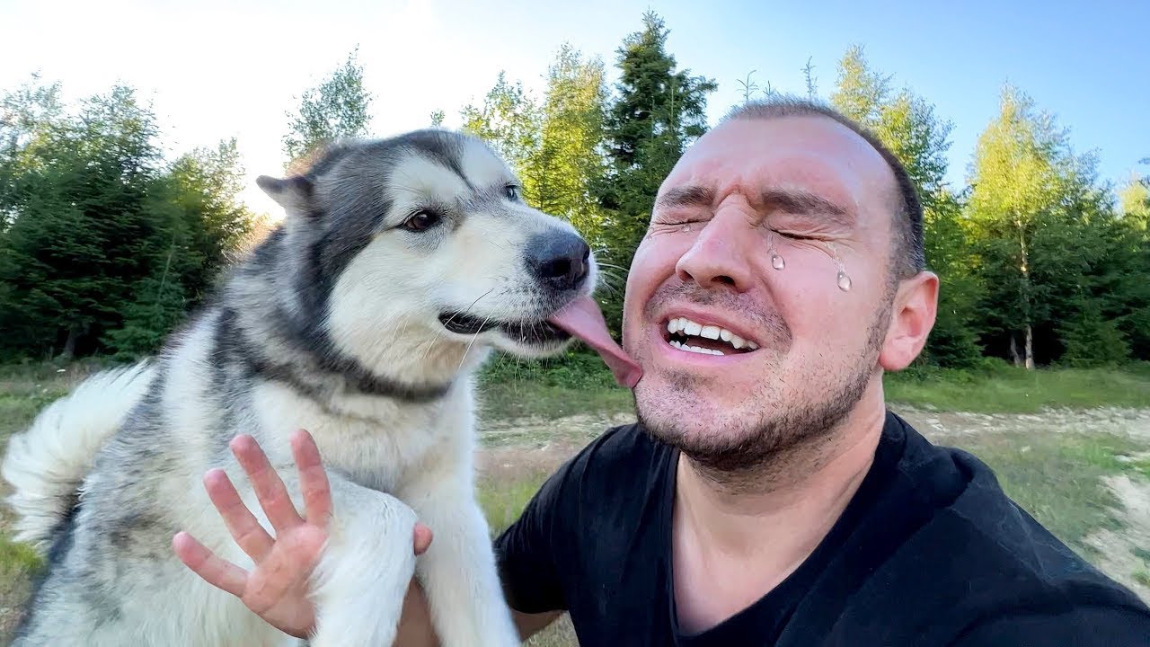 Забыли Закрыть Дверь! СОБАКИ СБЕЖАЛИ ИЗ ДОМА