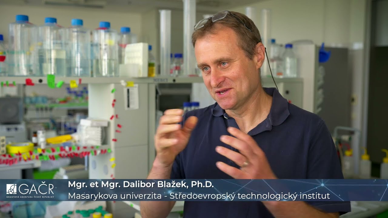 Dalibor Blažek - laureát Ceny předsedy GA ČR 2024 za Lékařské a biologické vědy