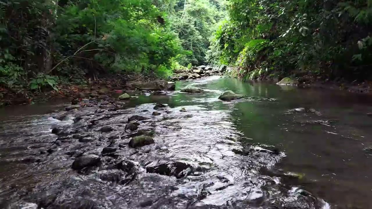 Total Relaxation, Anxiety Relief  Soft Flowing River Hidden Inside a Lush Tropical Forest