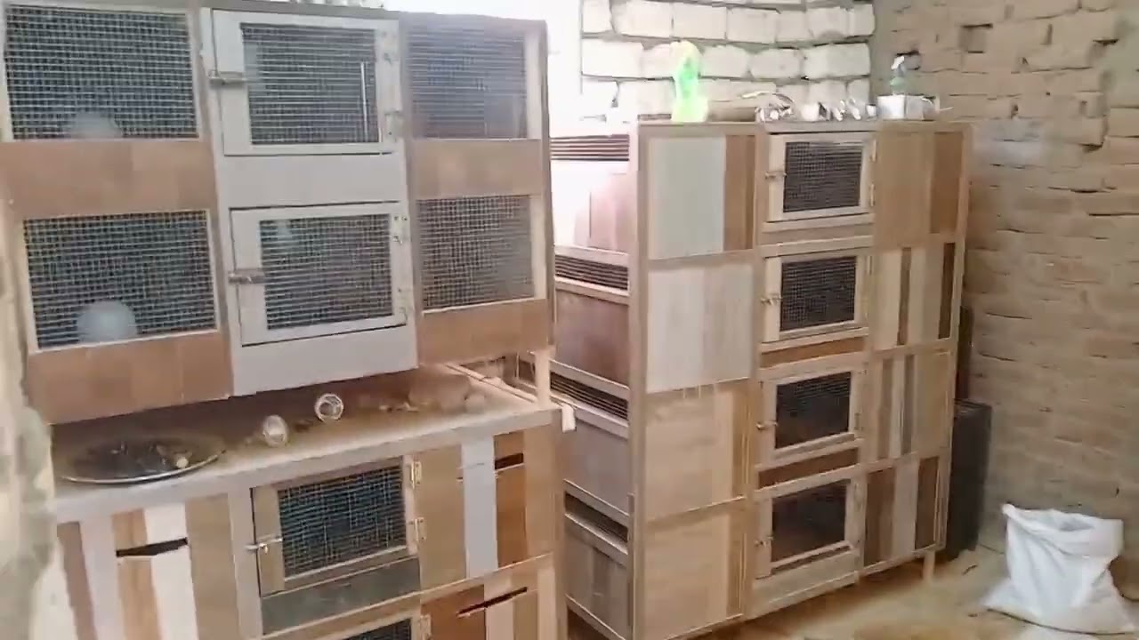 لو عايز تعمل مشروع السمان وخايف من التسويق الفيديو دة ليك